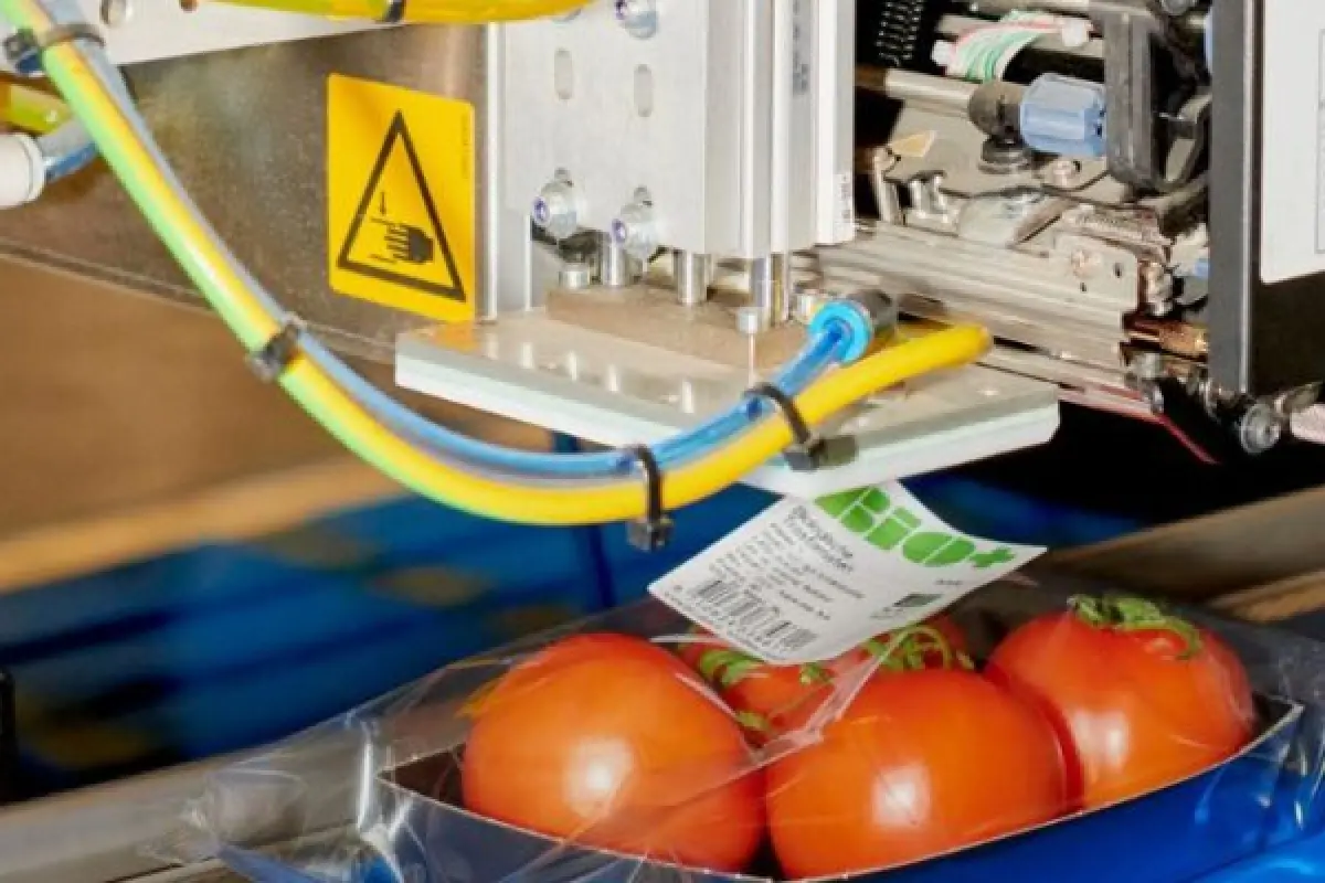 Automatische Etiketteermachine Tomaat Blog