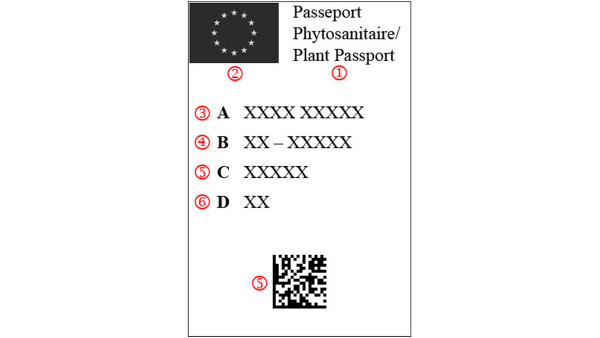 EU Pflanzenpass Muster